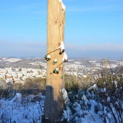Impressionen Vom Wendener Rubenkamp 12