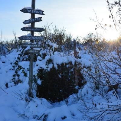 Impressionen Vom Wendener Rubenkamp 15