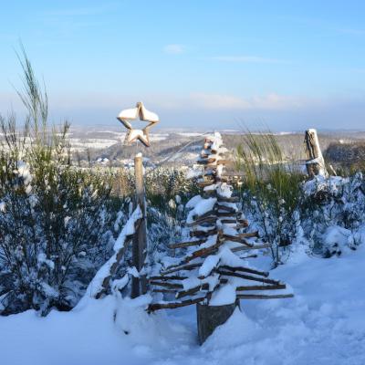 Impressionen Vom Wendener Rubenkamp 16