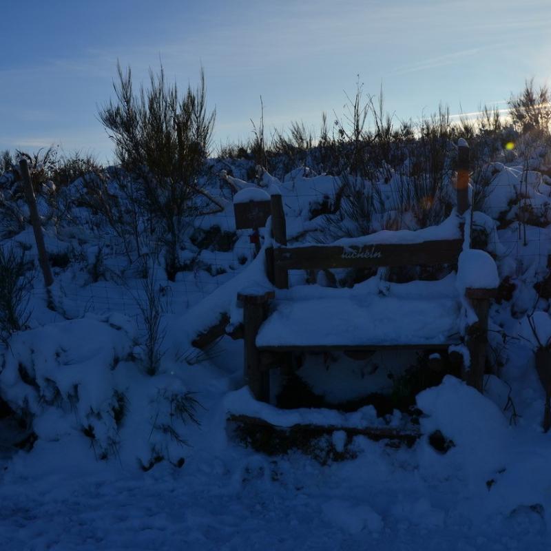 Impressionen Vom Wendener Rubenkamp 17