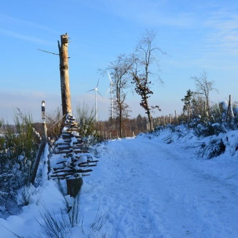 Impressionen Vom Wendener Rubenkamp 1