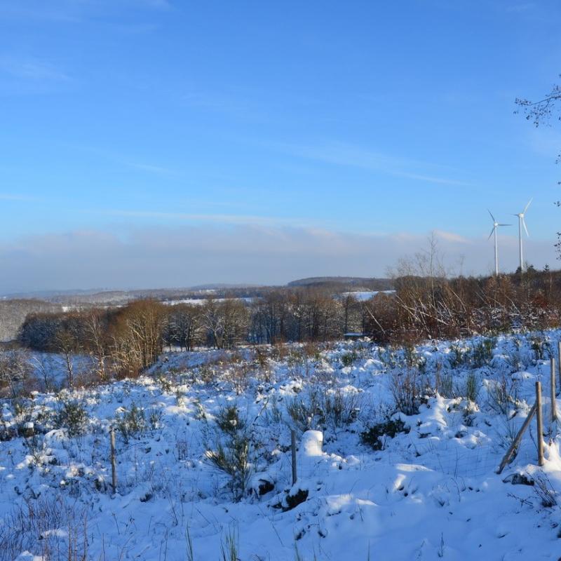 Impressionen Vom Wendener Rubenkamp 20
