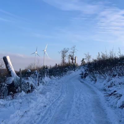 Impressionen Vom Wendener Rubenkamp 6