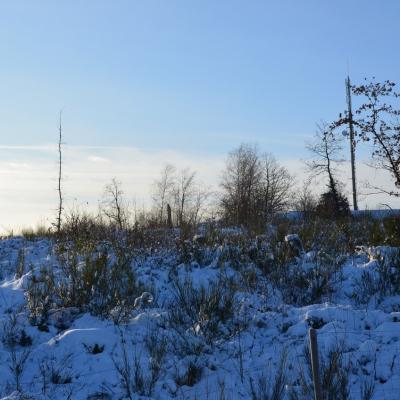 Impressionen Vom Wendener Rubenkamp 9